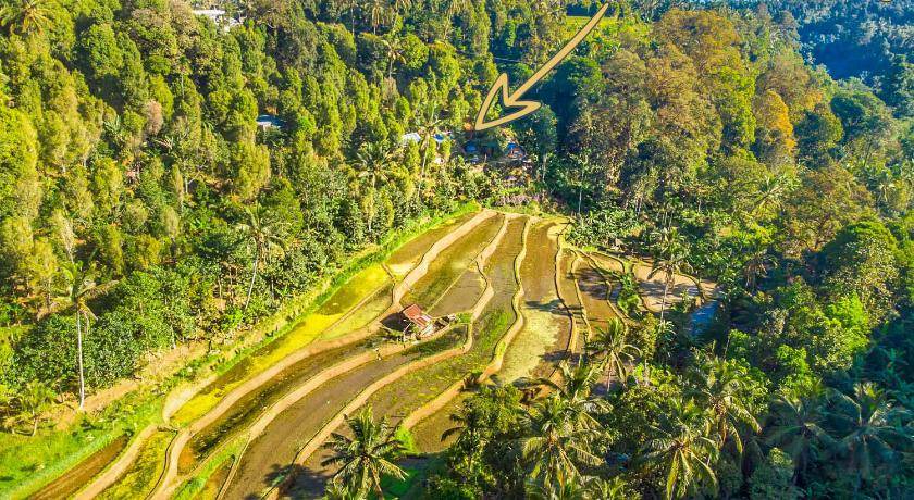 Photo of Outdoor in Sawan