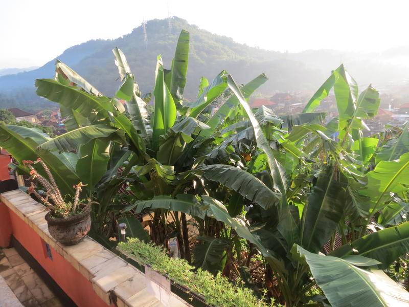 Photo of Others in Padangbai