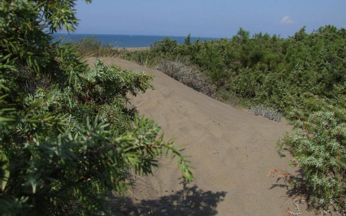 Photo of Others in Marina di Castagneto Carducci