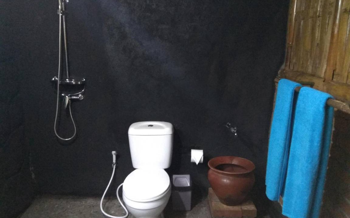 Photo of Bathroom in Selemadeg