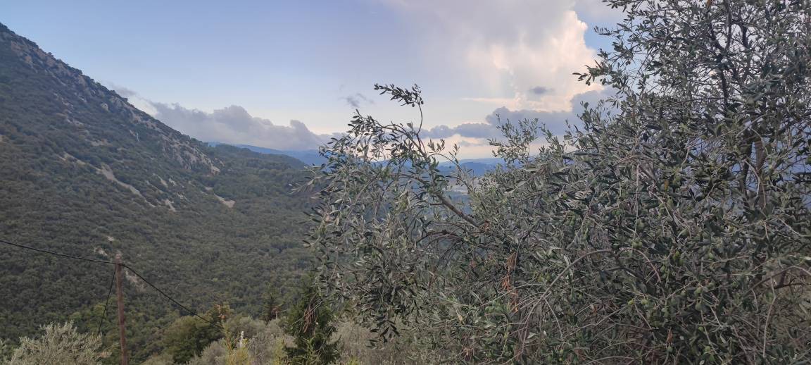 Photo of Others in Peille