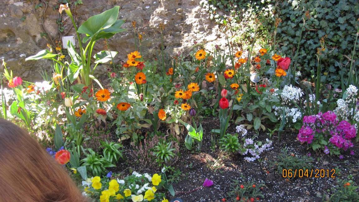 Photo of Others in Roquebrune-Cap-Martin