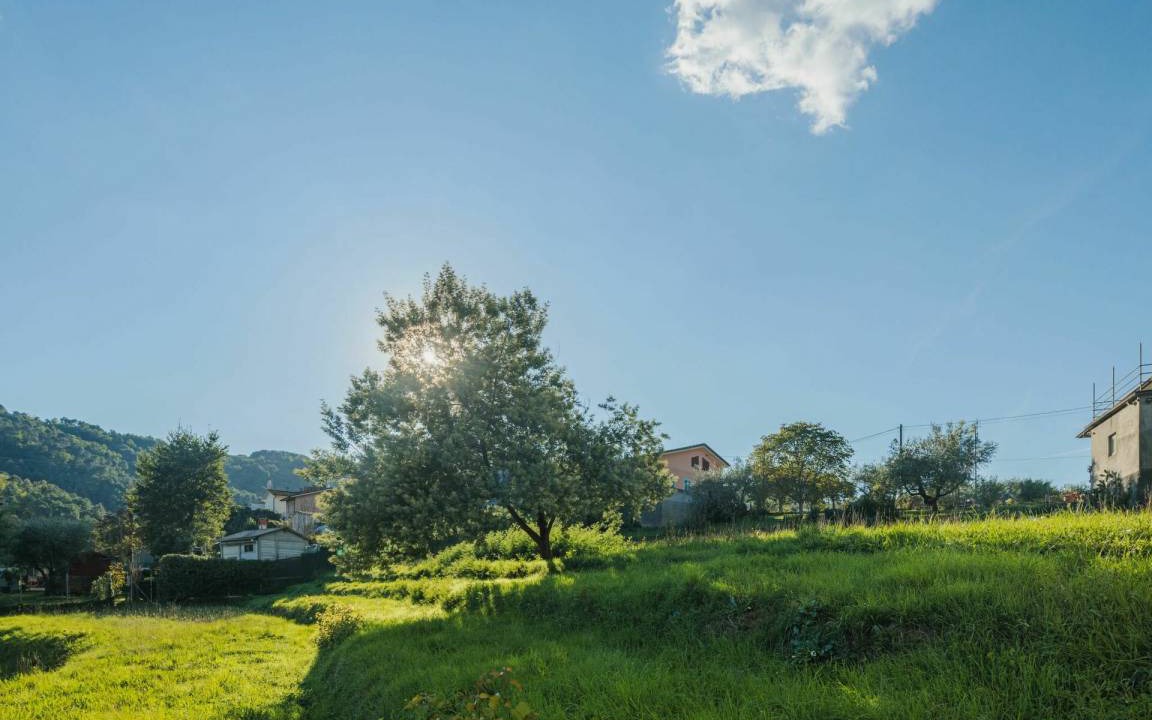 Photo of Others in Camaiore