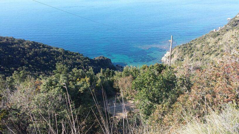 Photo of Others in Rio nell'Elba