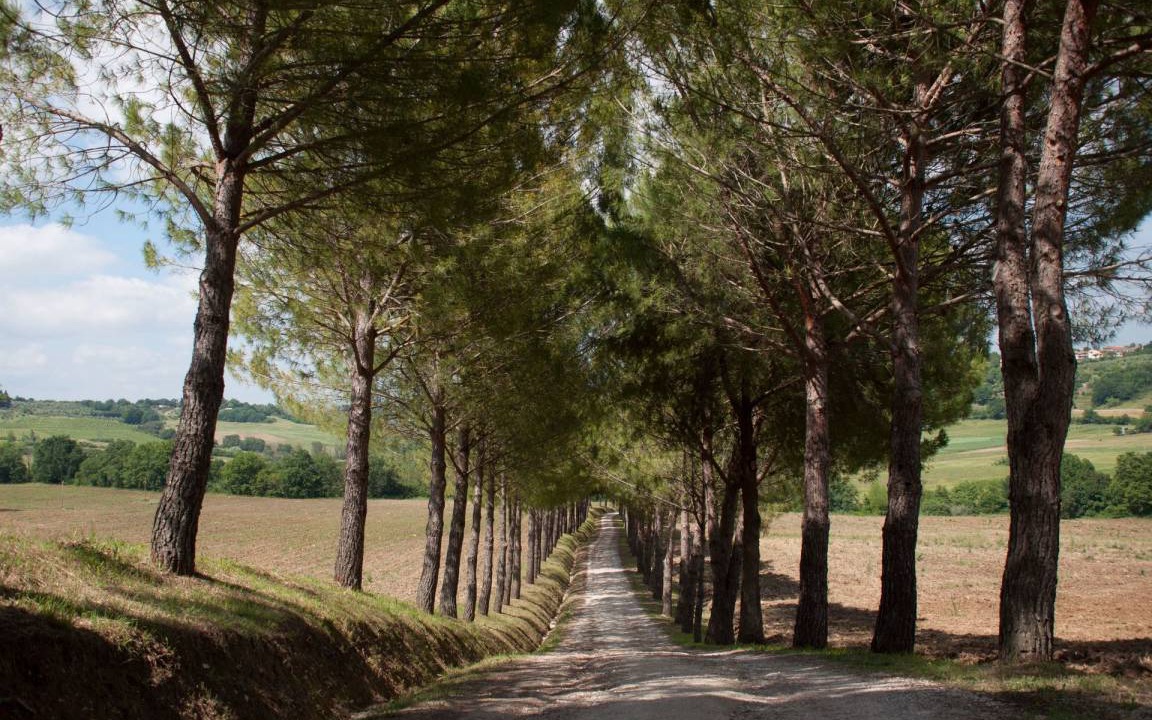 Photo of Others in Colle di Val d'Elsa