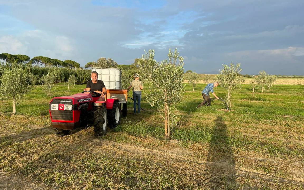 Photo of Others in Grosseto