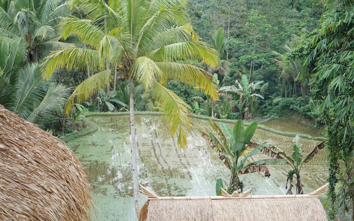 Photo of Others in Sebatu