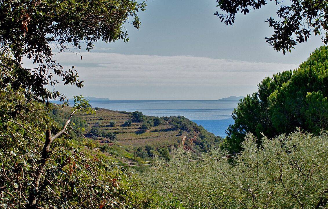 Photo of Others in Porto Azzurro