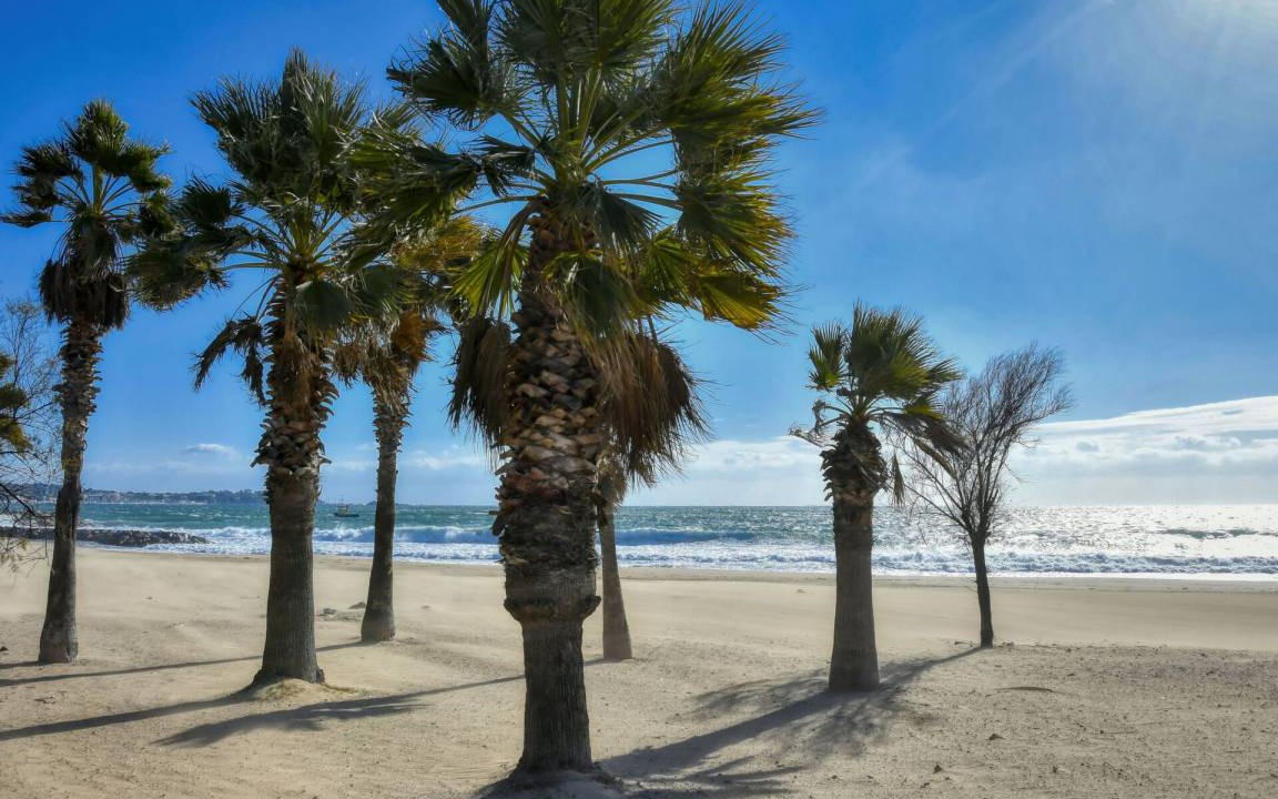 Photo of Others in Frejus Plage