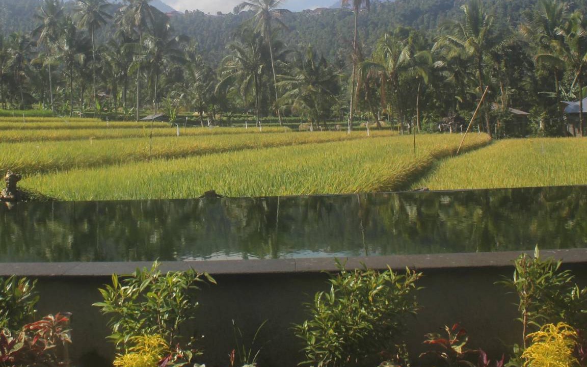 Photo of Others in Munduk