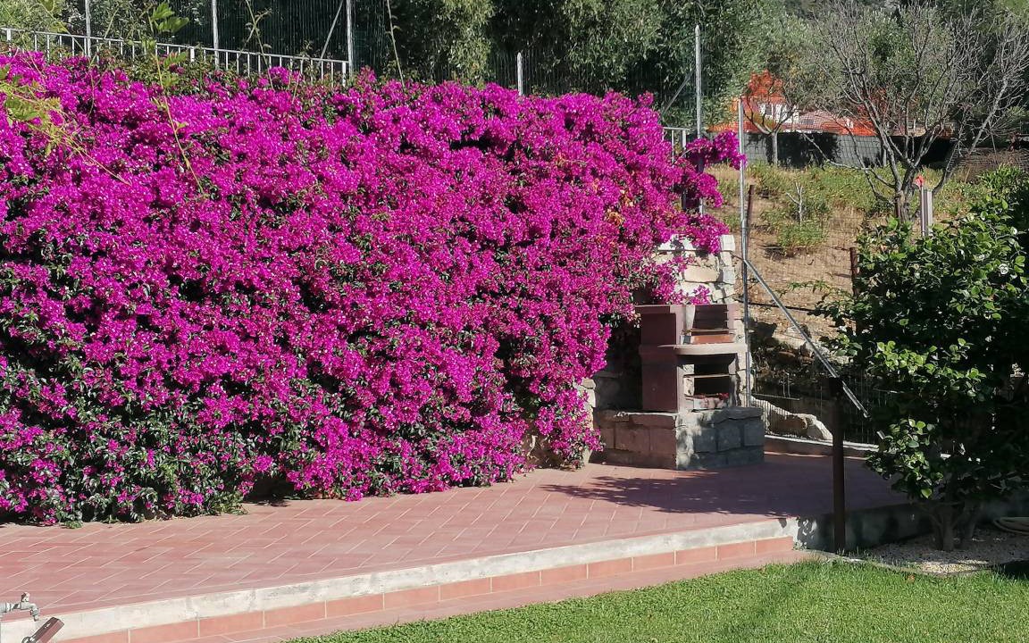 Photo of Others in Patresi