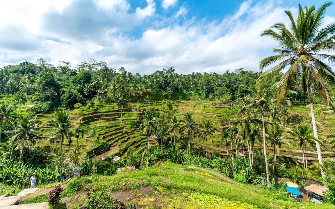 Photo of Others in Tegallalang