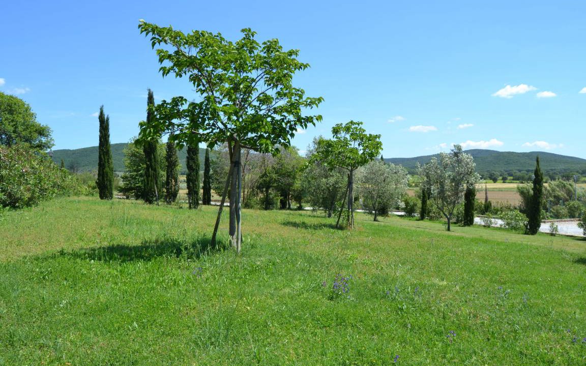 Photo of Others in Casalappi
