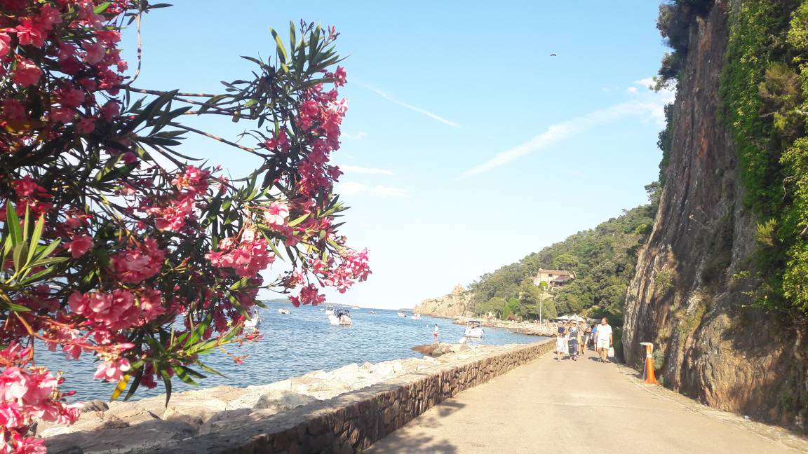 Photo of Others in Le Bar-sur-Loup