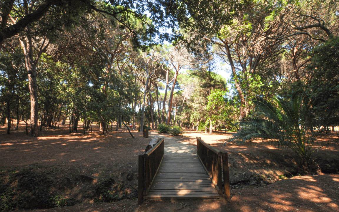 Photo of Others in Sainte-Maxime