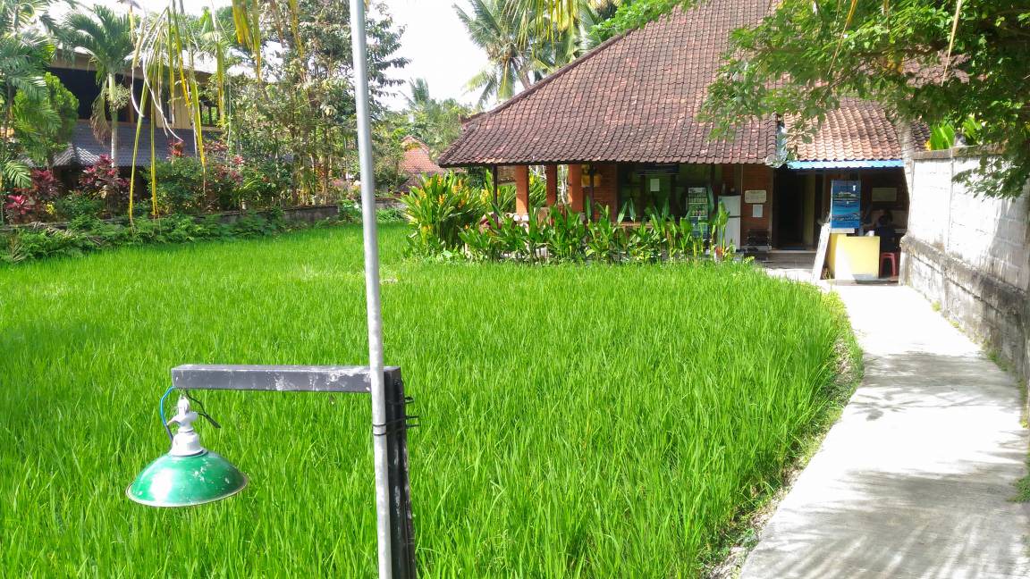 Photo of Others in Pengosekan