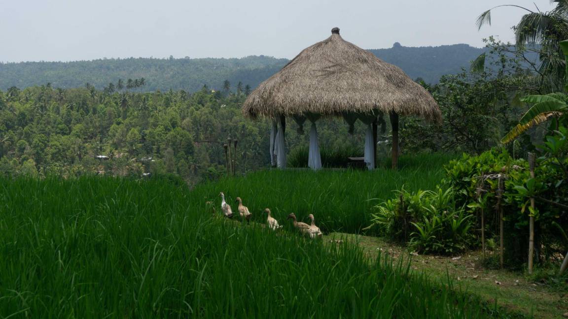 Photo of Others in Munduk