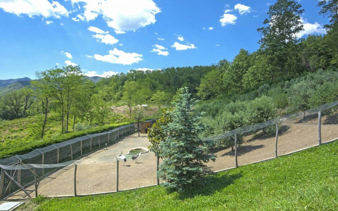 Photo of Others in Tresana