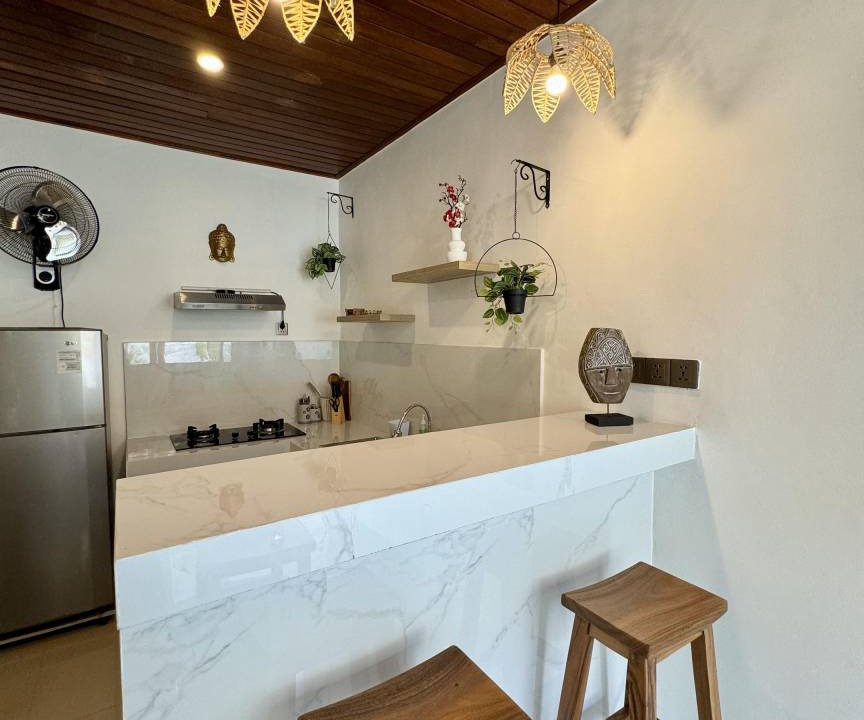 Photo of Kitchen in Munggu