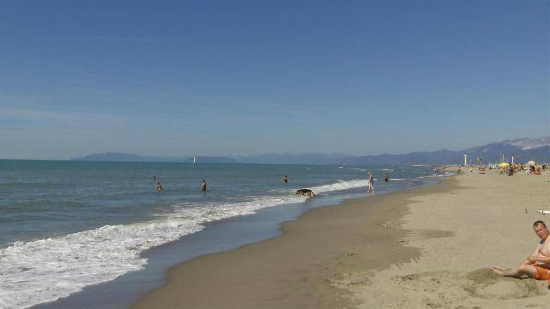 Photo of Others in Viareggio