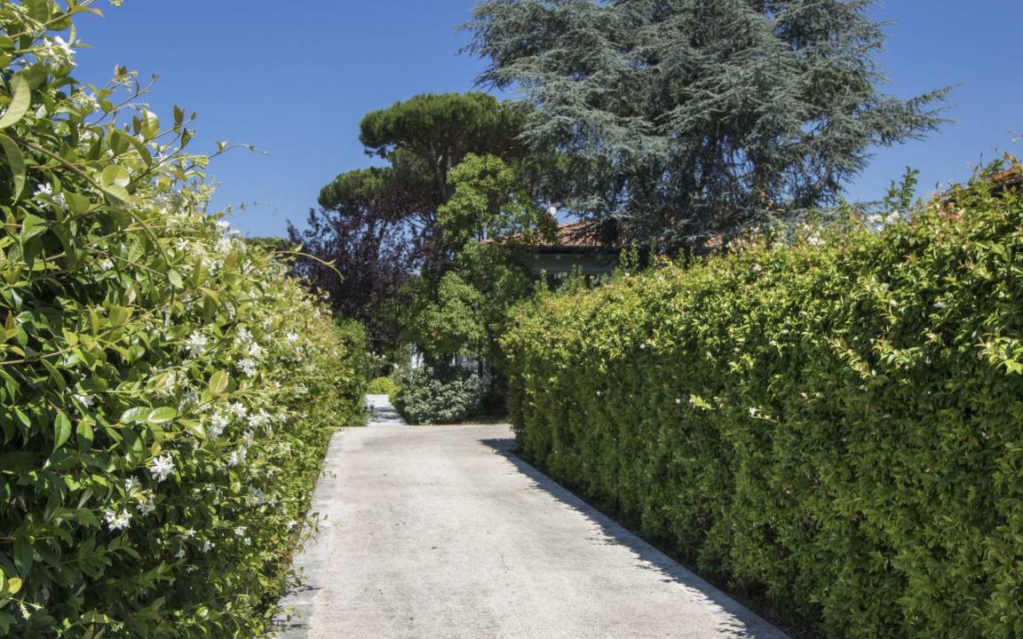 Photo of Others in Forte dei Marmi