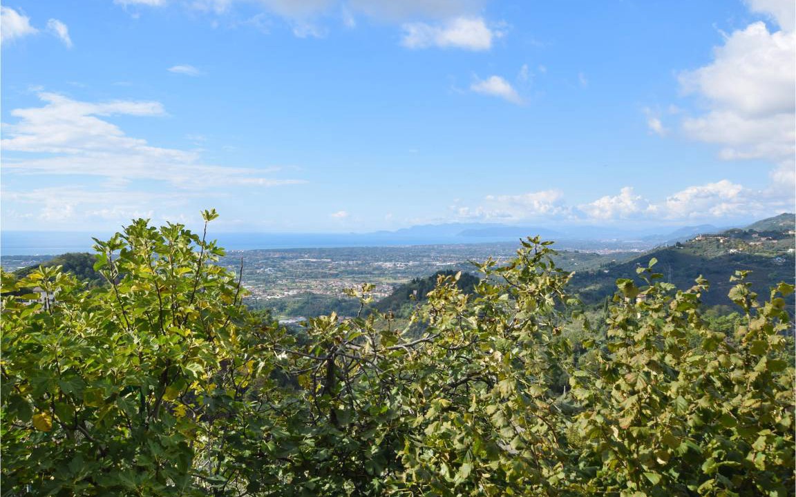 Photo of Outdoor in Pedona