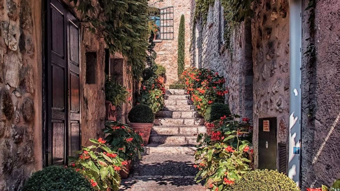 Photo of Others in Vence