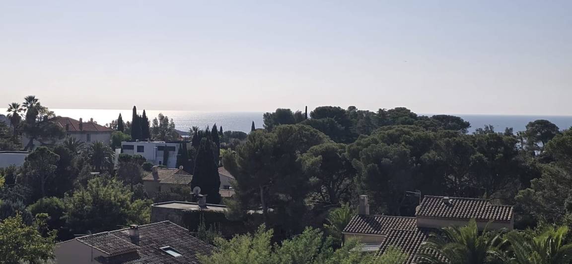 Photo of Others in Saint-Raphael