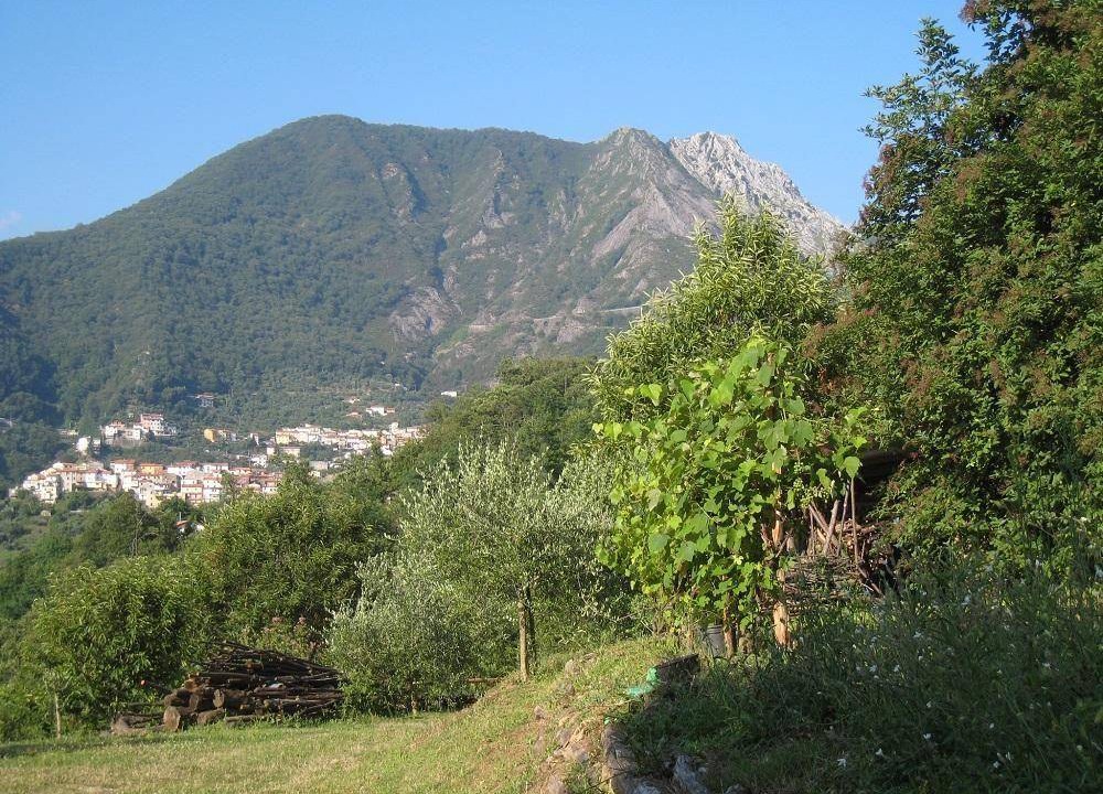 Photo of Others in San Carlo Terme