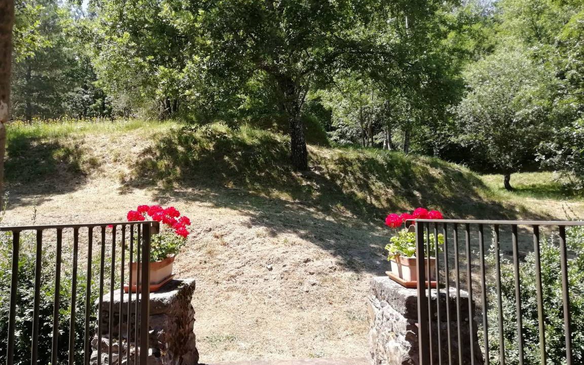 Photo of Others in Bagni di Lucca