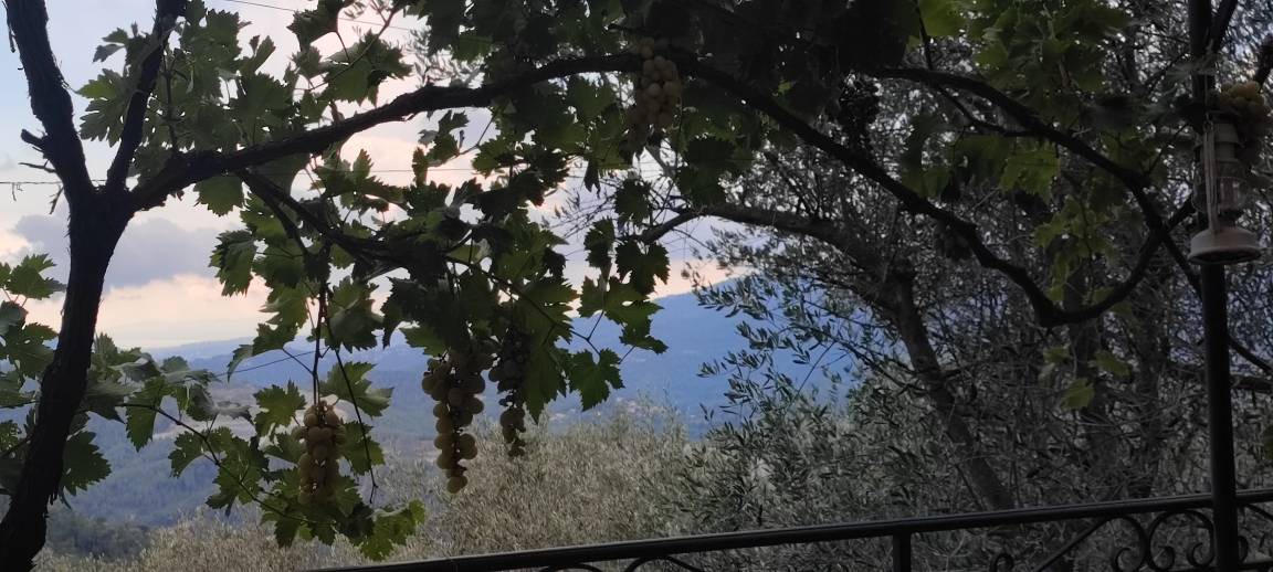 Photo of Others in Peille
