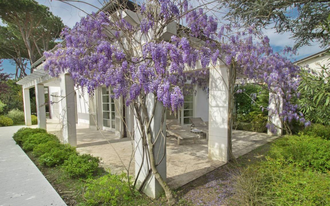 Photo of Buildings in Forte dei Marmi