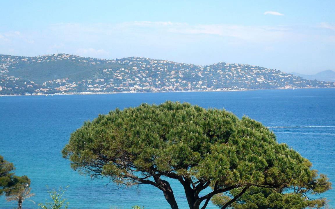 Photo of Others in Sainte-Maxime