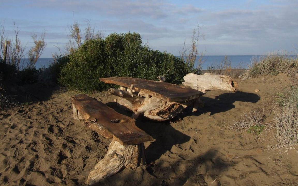 Photo of Others in Marina di Castagneto Carducci