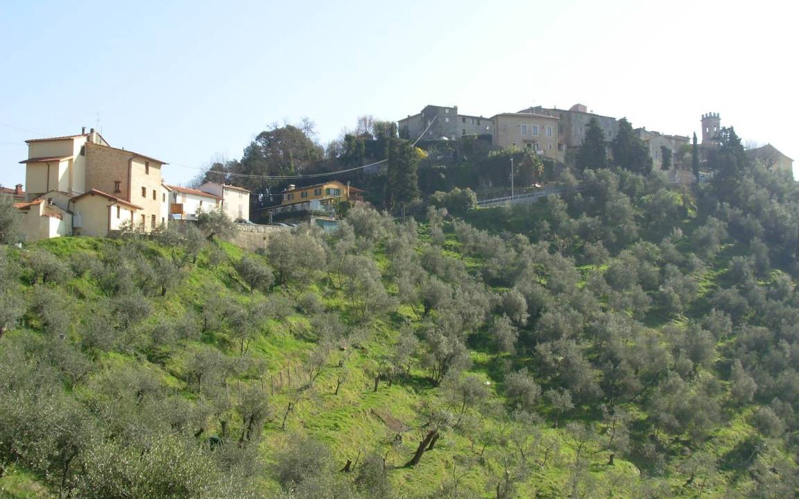 Photo of Others in Santa Lucia