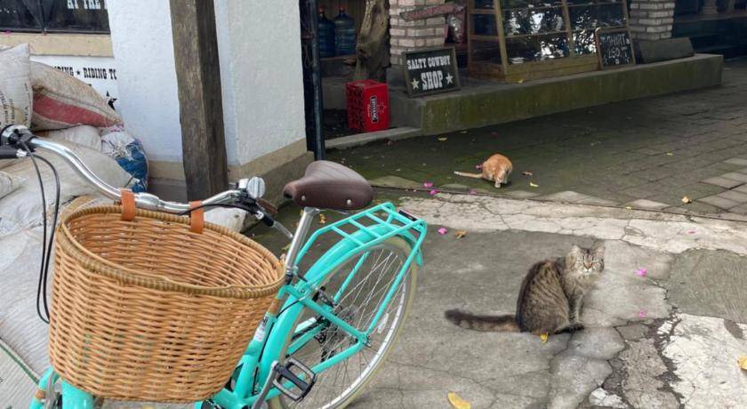 Photo of Others in Kediri