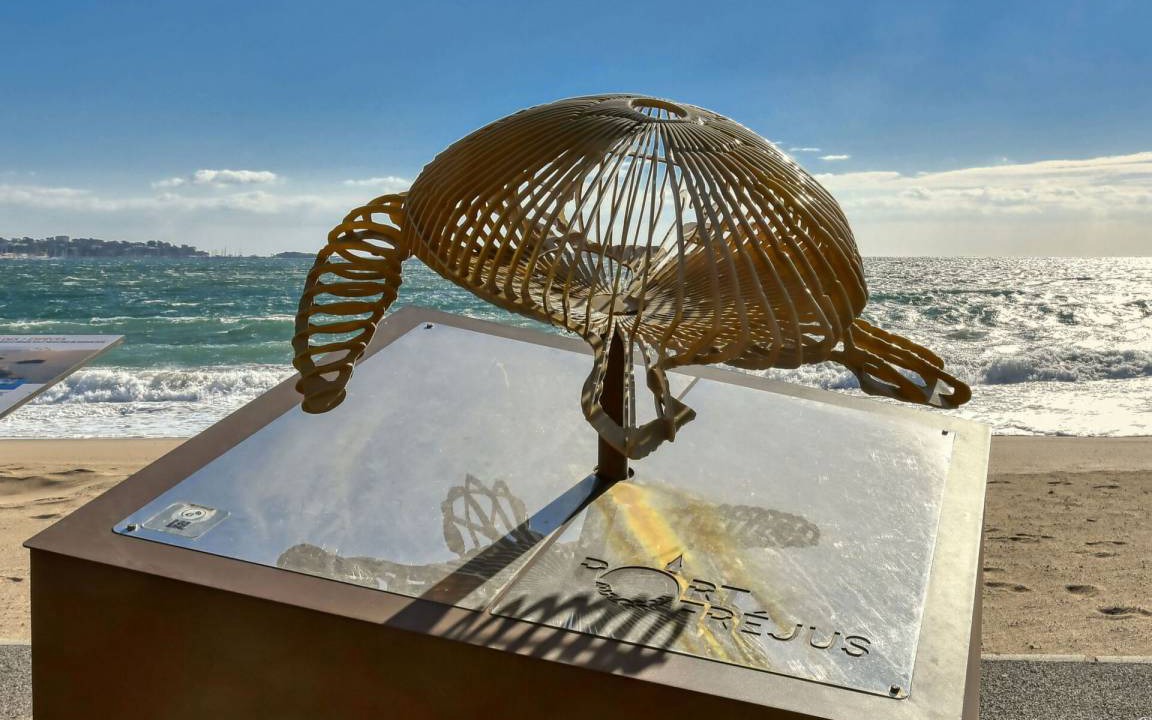 Photo of Others in Frejus Plage