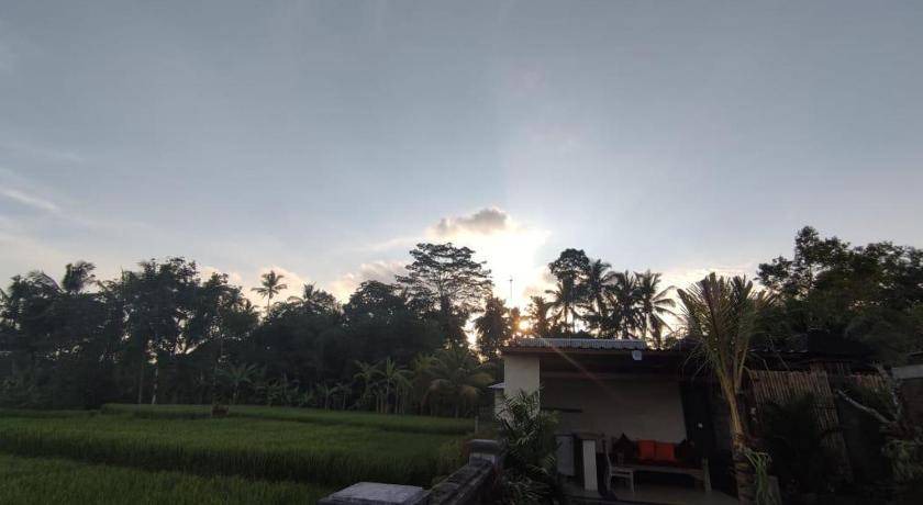 Photo of Others in Kedewatan
