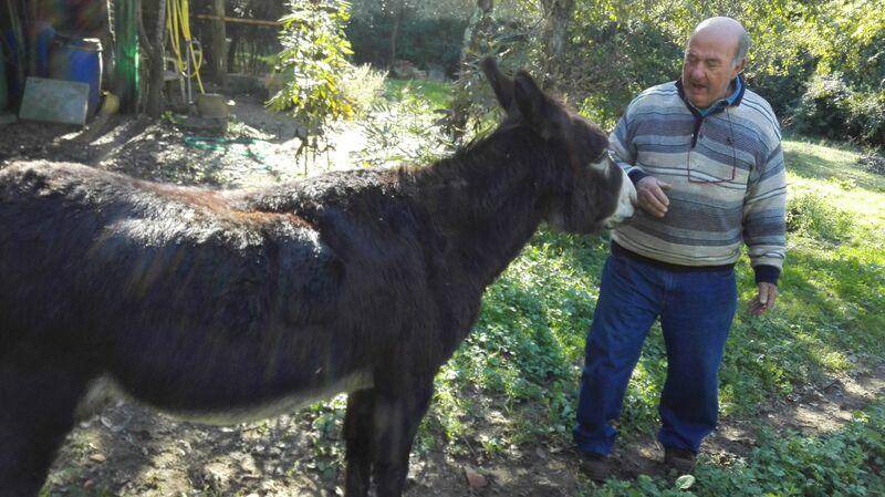 Photo of Others in Pieve a Nievole