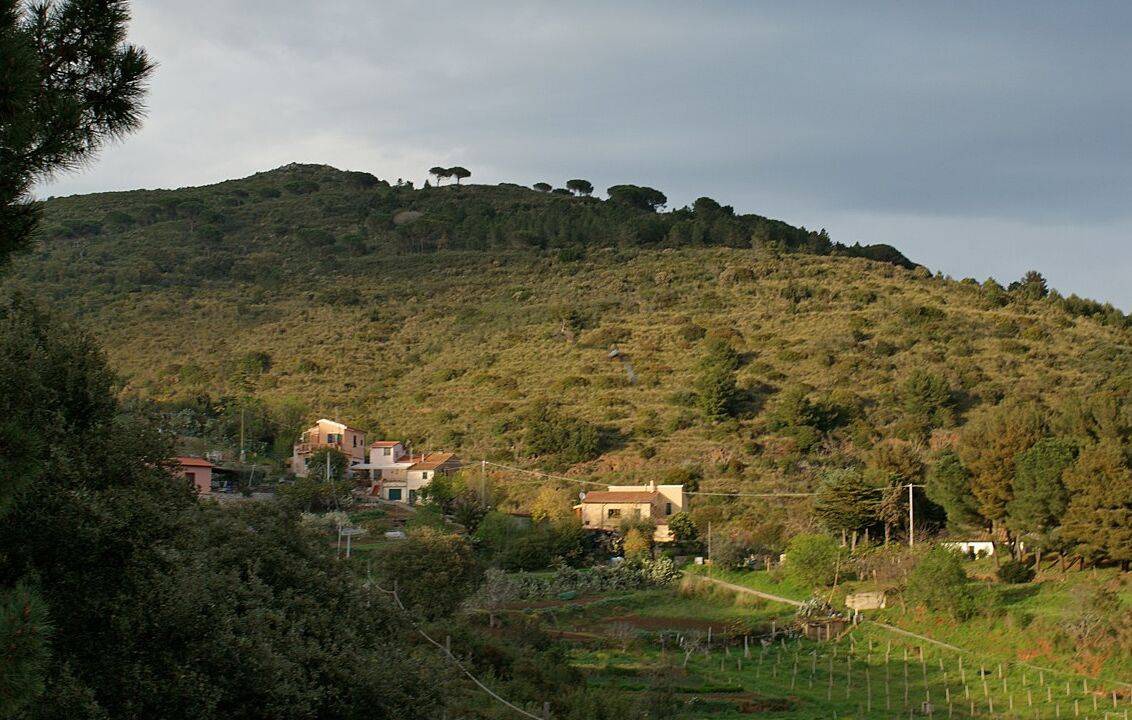 Photo of Others in Porto Azzurro