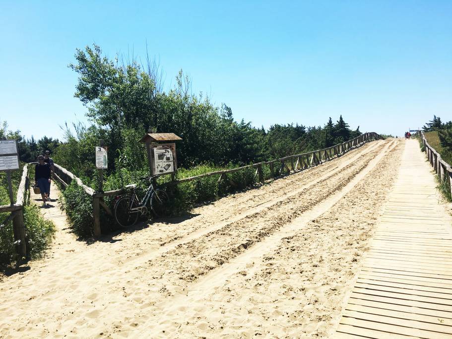 Photo of Others in Viareggio
