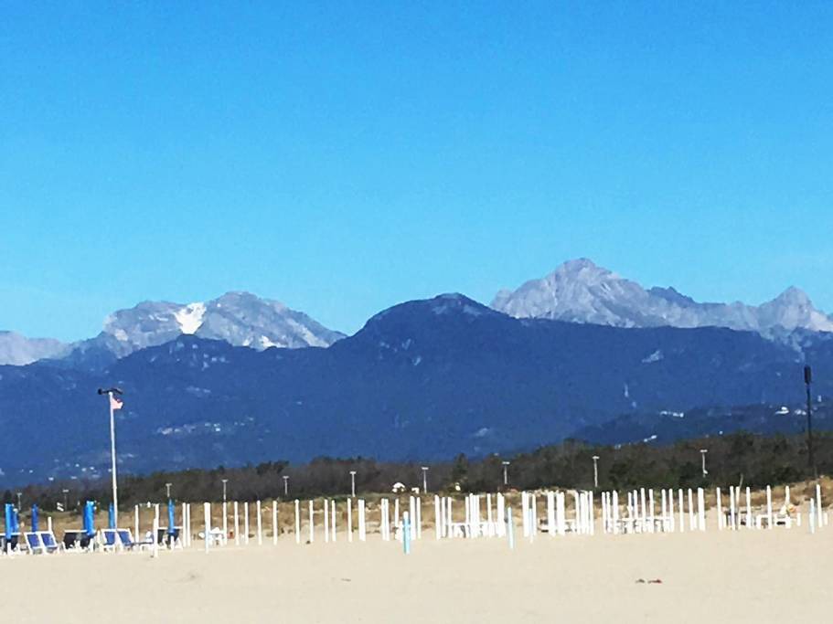 Photo of Others in Viareggio