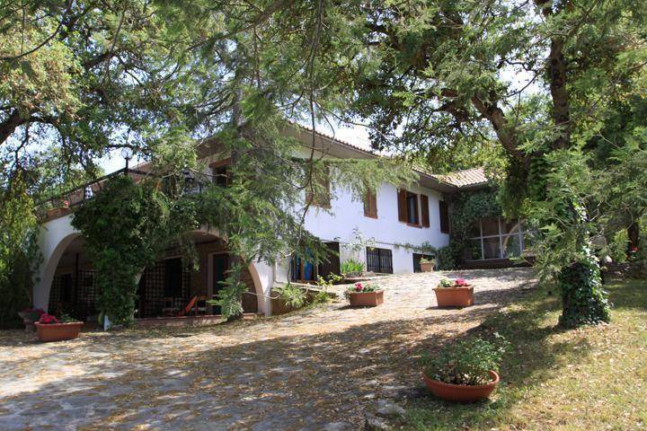 Photo of Others in Campiglia Marittima