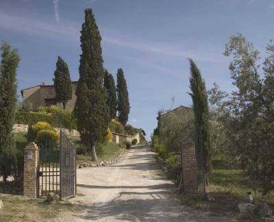 Photo of Others in San Gimignano