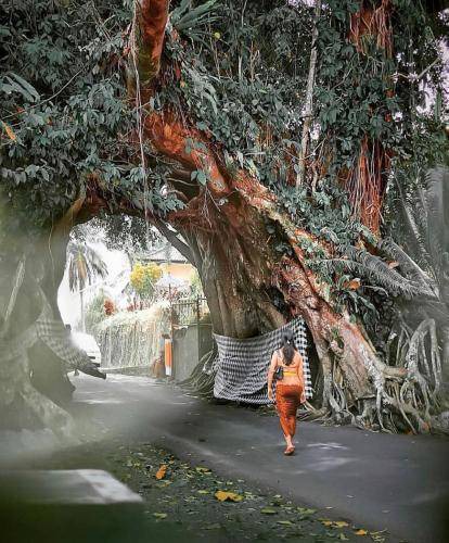 Photo of Others in Medewi