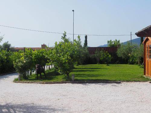 Photo of Others in Uliveto Terme