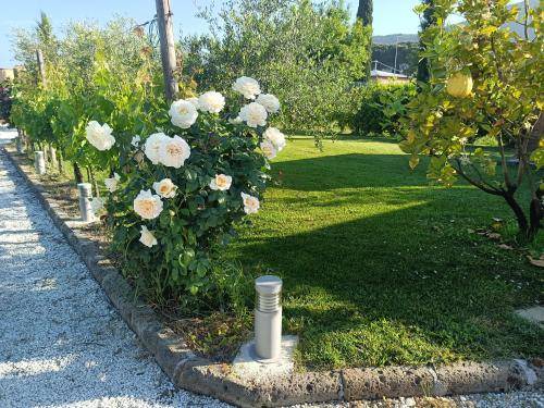 Photo of Others in Uliveto Terme