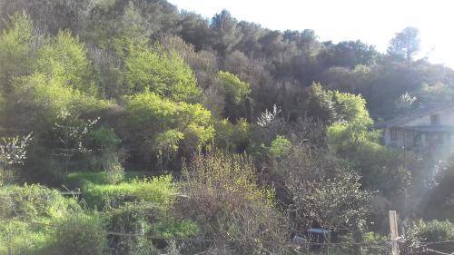 Photo of Others in La Trinite