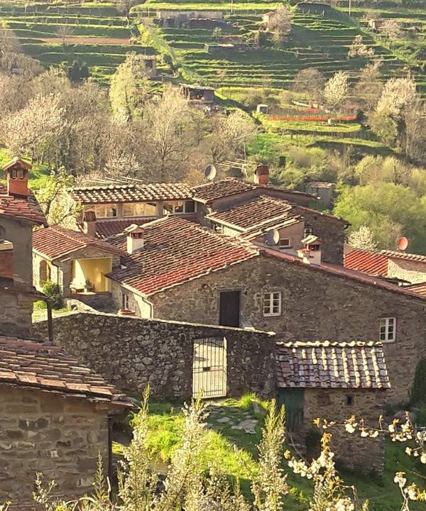 Photo of Others in Borgo a Mozzano