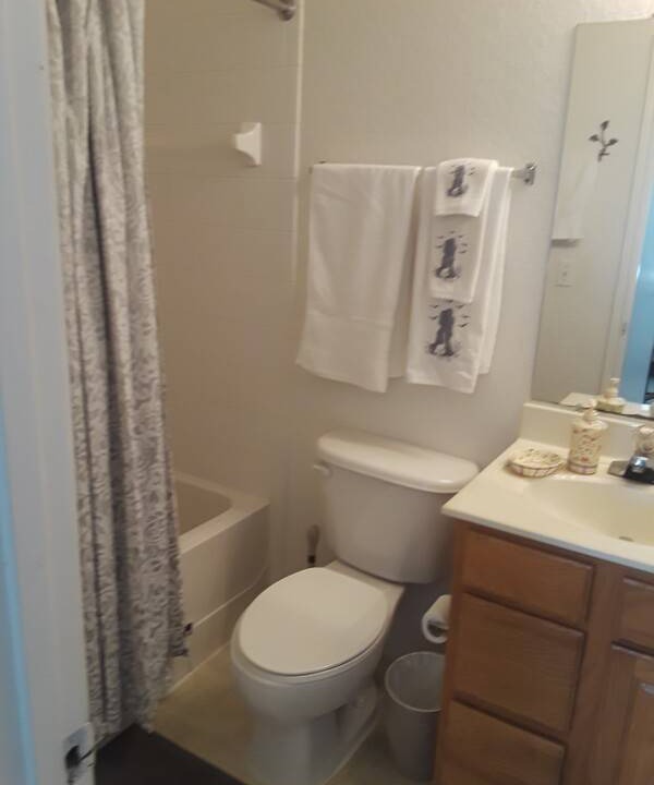 Photo of Bathroom in Southchase